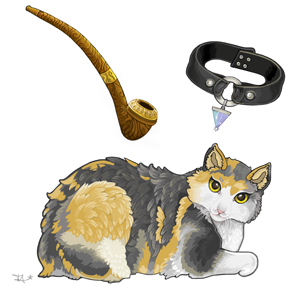 A client's cat, smoking pipe and collar.