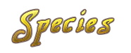 Species